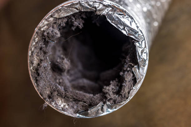 Best Affordable HVAC Duct Cleaning  in Chadbourn, NC